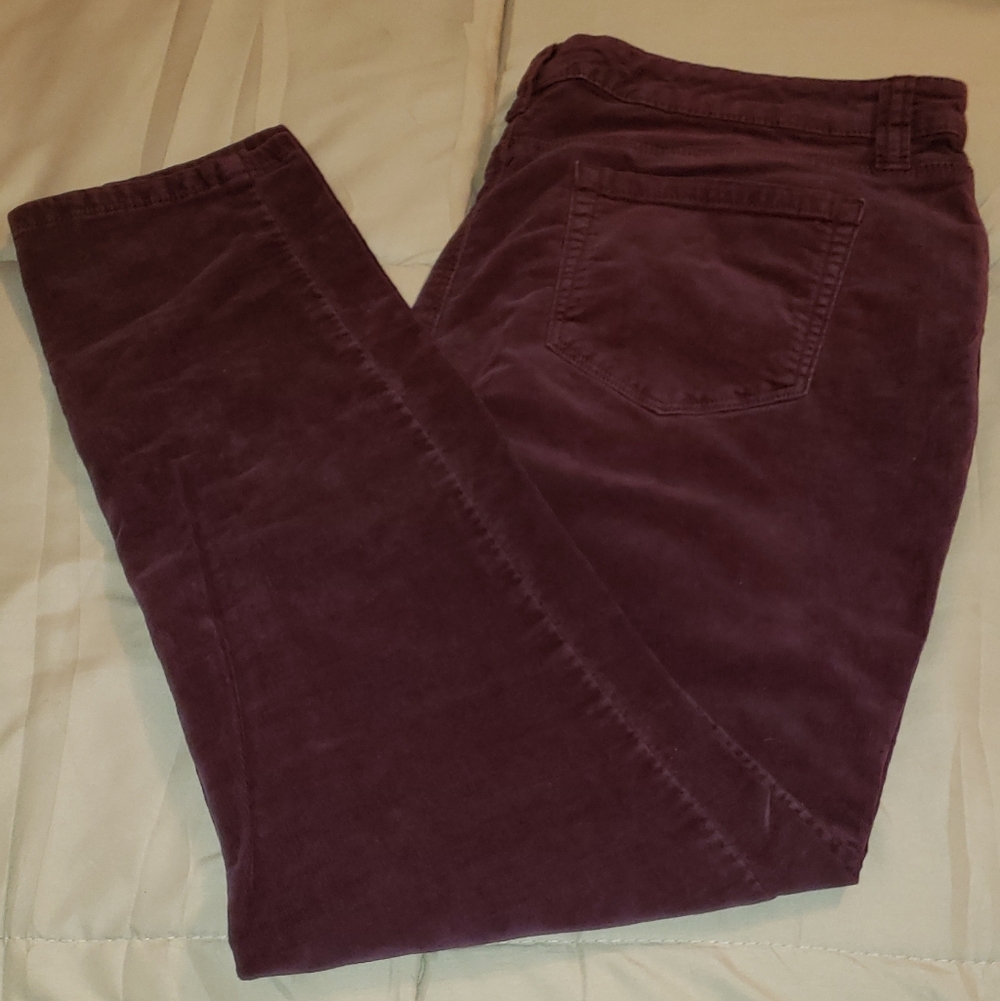 Women's Stlye & Co Corduroy Pants SZ 14 Petite Burgandy Color